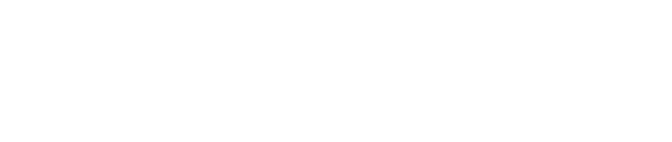PhaseOne Interpreter - AI